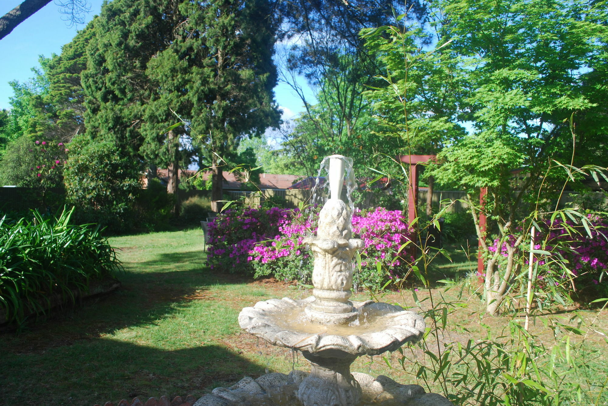 Norwood Mountain Lodge Blackheath Εξωτερικό φωτογραφία